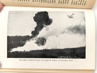 "Malaula! Der Kampfruf meiner Staffel" um 1939, 196 Seiten, DIN A5