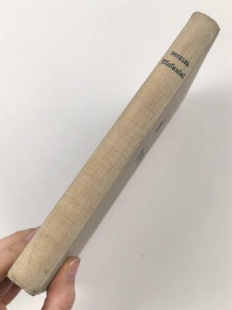 "Malaula! Der Kampfruf meiner Staffel" um 1939, 196 Seiten, DIN A5