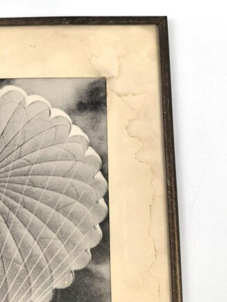 Fallschirmtruppe, gerahmtes Kauffoto aus der Zeit des 2. Weltkrieg. Maße des Rahmen 24 x 30cm