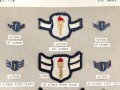 U.S. Air Force Reserve Officer Training Corps, Sammlung Abzeichen, jeweils auf Karton befestigt