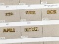 U.S. Army , Sammlung Kragenabzeichen, jeweils auf Karton befestigt