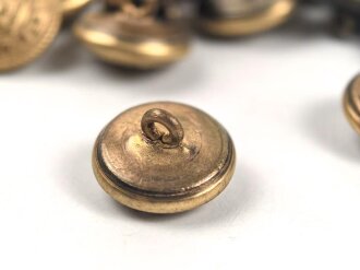 Belgien, Konvolut Knöpfe " LLoyd Royal Belge" 16 und 24mm