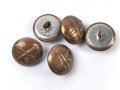 Schweiz, Knopf für eine Uniform  je 21mm, sie erhalten ein ( 1 ) Stück