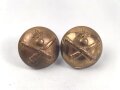Schweiz, Knopf für eine Schulterklappe oder Feldmütze  je 15mm, sie erhalten ein ( 1 ) Stück