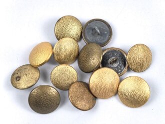 Konvolut 13 x  vergoldeter Uniformknopf meist 21mm