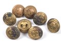Neuseeland, 8 Knöpfe " New Zealand Forces" , je 17mm