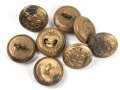 Neuseeland, 8 Knöpfe " New Zealand Forces" , je 17mm