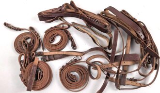 Konvolut modernes, ledernes Zaumzeug