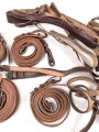 Konvolut modernes, ledernes Zaumzeug
