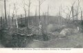 1. Weltkrieg, Ansichtskarte "Blick auf den erstürmten Berg mit feindlicher Stellung im Vordergrund"