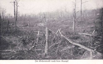 1. Weltkrieg, Ansichtskarte "Im Eichenwald nach den Kampf"