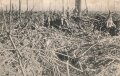 1. Weltkrieg, Ansichtskarte "Berg von La Ville aux Bois nach dem Sturm am 10.3.1916"