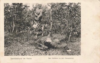 1. Weltkrieg, Ansichtskarte "Santiätshund im...