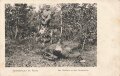 1. Weltkrieg, Ansichtskarte "Santiätshund im Felde"