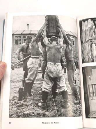 "Reichsarbeitsdienst im Ordensland", unter DIN A4, 157 Seiten, gebraucht