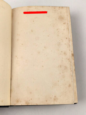 Adolf Hitler "Mein Kampf", blaue Ganzleinenausgabe von 1934