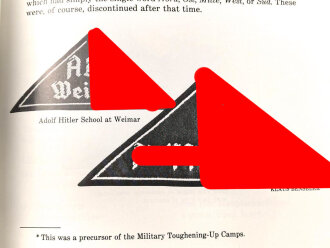 "The Hitler Youth" DIN A5, 377 Seiten, gebraucht, englisch