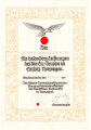 Urkunde für besondere Leistungen einer Luftwaffe Oberhelferin im Einsatz in Norwegen, datiert 1945, DIN A4