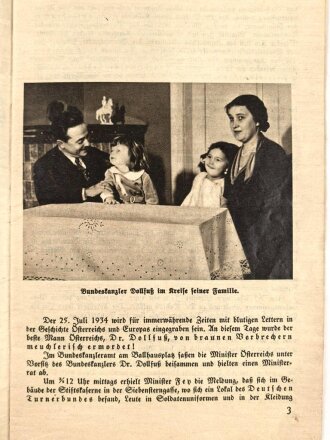 "Der braune Terror in Österreich"...