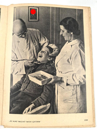 "Jugend im Reich" von Adolf Schmidt, 143 Seiten, vollständig