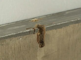 "Den Gefallenen Helden des Schönbühl" Holzschild Originallack, Maße etwa 190 x 120cm. KEIN VERSAND