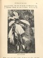 "23 Jahre Sturm und Sonnenschein in Südafrika" datiert 1902, 592 Seiten, DIN A5