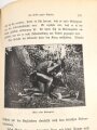 "23 Jahre Sturm und Sonnenschein in Südafrika" datiert 1902, 592 Seiten, DIN A5