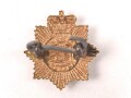 British  Devonshire Regiment Brass collar badge