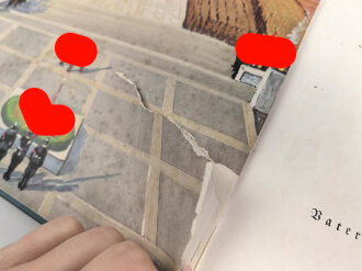 Reichstagung in Nürnberg 1934, 409 Seiten, erste Seite gerissen