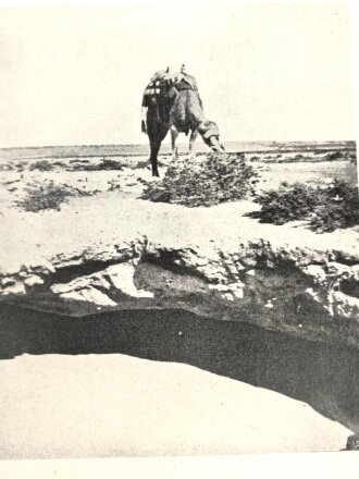 "Ägypten und Cyrenaika" Luftgeographisches Einzelheft 1.Teil, Herausgegeben vom Generalstab der Luftwaffe 1942. Einband angeschmutzt, sonst guter Zustand, etwas über DIN A4