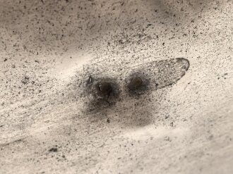 Eiserner Kürassrücken für Mannschaften,die Stempelung für mich nicht eindeutig zuzuordnen, gereinigtes Stück