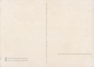 Ansichtskarte "Hildesheim - Das Knochenhauer...