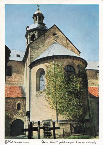 Ansichtskarte "Hildesheim - der 1000-jährige Rosenstock"