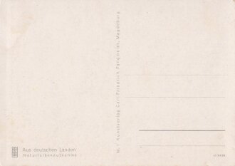 Ansichtskarte "Hildesheim - Das Knochenhauer...