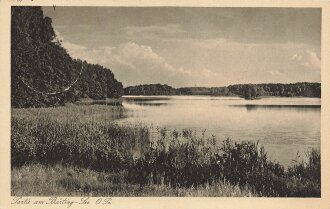 Ansichtskarte "Partie am Bärting-See"