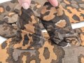 Paar wendbare Tarnhandschue für Angehörige der Waffen SS in sehr gutem Zustand