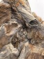 Waffen SS Tarnparka ( sog.Charkovparka ) aus italienischem Stoff. Getragenes Stück, ungereinigt