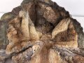 Waffen SS Tarnparka ( sog.Charkovparka ) aus italienischem Stoff. Getragenes Stück, ungereinigt