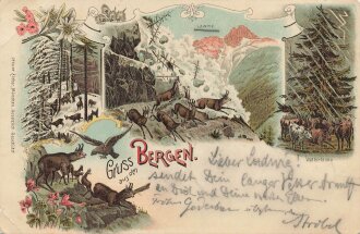 Ansichtskarte "Gruss aus den Bergen"