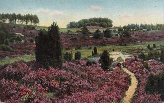 Ansichtskarte "Lüneburger Heide" datiert 1913