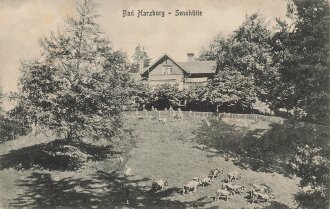 Ansichtskarte "Bad Harzburg - Sennhütte"