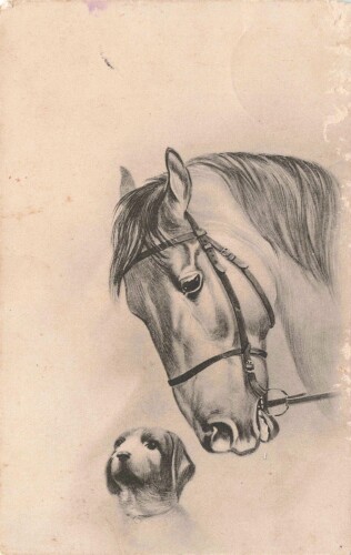 Ansichtskarte "Pferd und Hund"