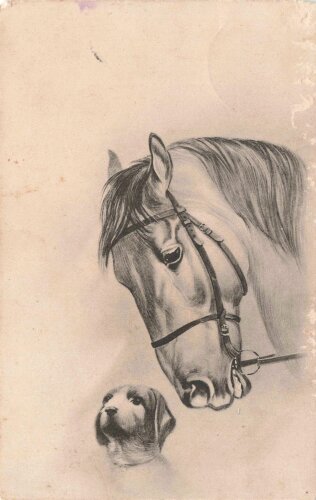 Ansichtskarte "Pferd und Hund"
