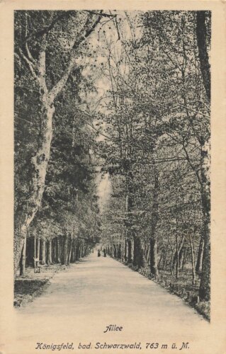 Ansichtskarte "Allee Königsfeld, bad....