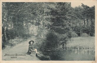 Ansichtskarte "Altkloster Buxtehude - Ilseteich"
