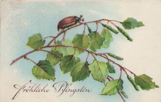 Ansichtskarte "Fröhliche Pfingsten - Maikäfer"
