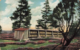 Ansichtskarte "Lüneburger Heide - Bienenstand bei Lutterloh"