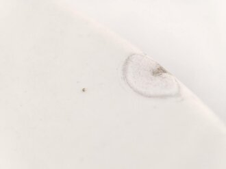 Deutsche Arbeitsfront, Kantinenporzellan Teller, Hersteller Hutschenreuther Selb Bavaria Germany, Durchmesser 23,5cm, gebraucht, Randschaden