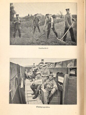 "Im Süden von Metz" 195 Seiten plus Bilder, über DIN A5
