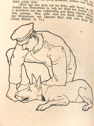 "Leitfaden für die Abrichtung des Diensthundes" datiert 1922, 162 Seiten, DIN A5